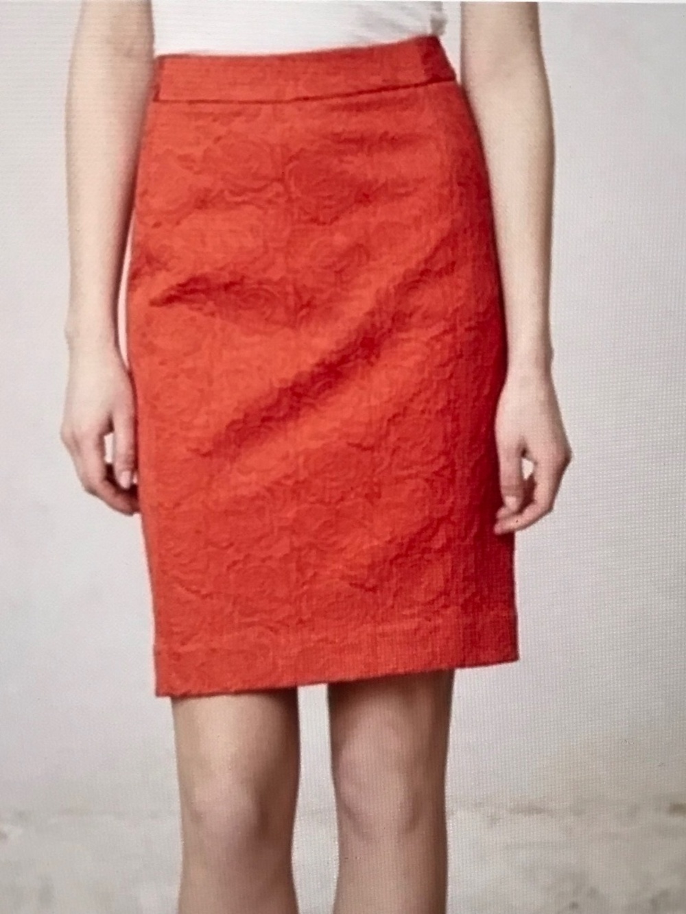 ANTHROPOLOGIE Vanessa Virginia Rose Brocade Skirt Size 6